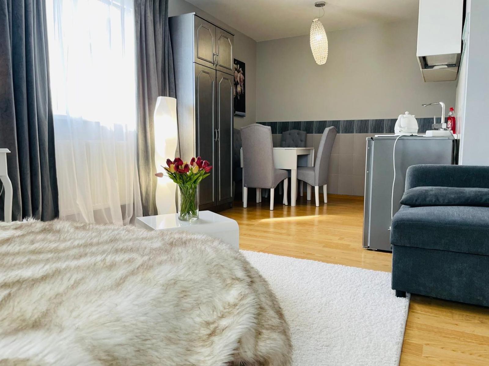 Appartement Vila"Anna" à Palanga Extérieur photo